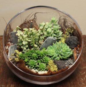 A collection of unique succulents in a variety of texture and colors in a glass container will add the right mojo to anyone's day.