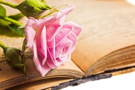 Close-up,Pink,Rose,With,Rosebuds,On,The,Old,Book.,Vintage