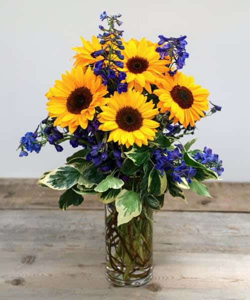 Enjoy a sunny afternoon with the playfulness of sunflowers accented with cool blue belladonna and seasonal foliage.