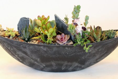 A textual collection of succulents and natural elements designed in a contemporary boat-shaped container. The variety of color and textures is a perfect selection for a home or office.