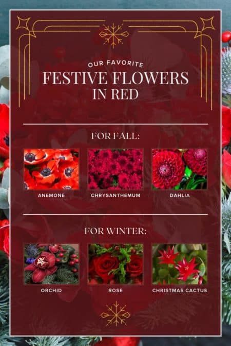 Festive red flowers for the holidays